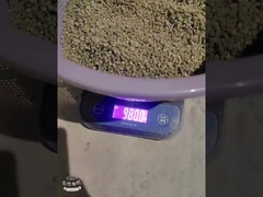 PE300 Пластиковый осушитель Masterbatch Полиэтиленовый носитель Инжекционная формовка