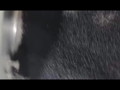 Чёрный Masterbatch, деспенирующий Masterbatch